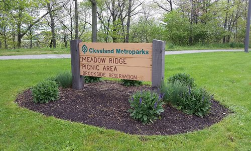 Meadow Ridge Picnic Area