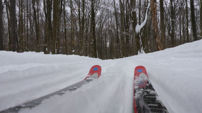 Learn-It: Cross Country Skiing